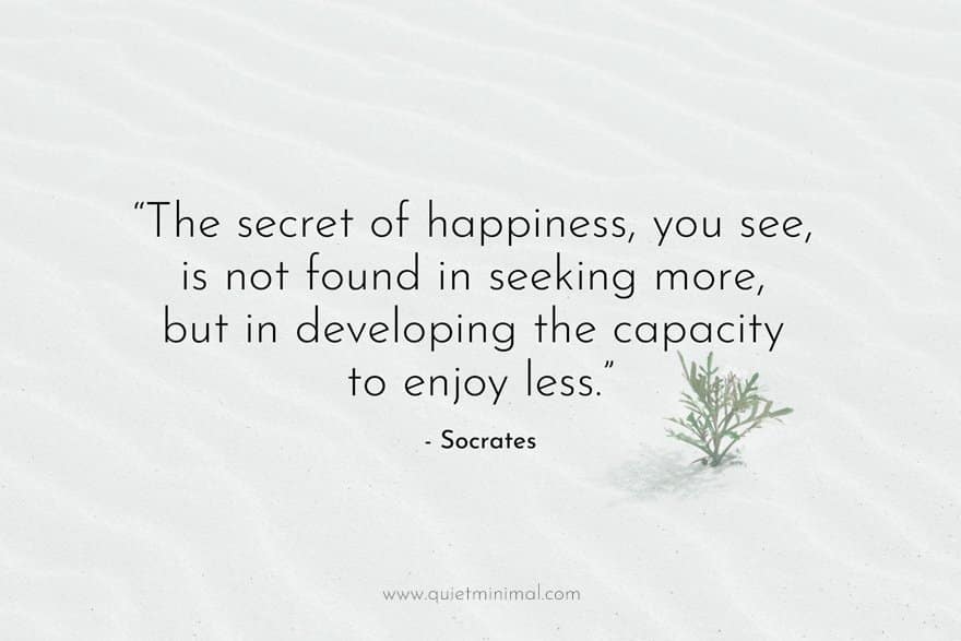 "The secret of happiness, you see, is not found in seeking more, but in developing the capacity to enjoy less." 

- Socrates