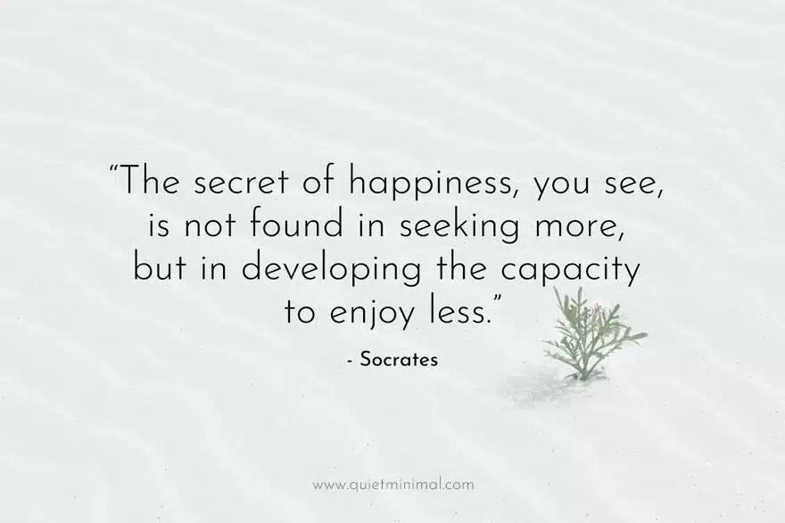 "The secret of happiness, you see, is not found in seeking more, but in developing the capacity to enjoy less." 

- Socrates