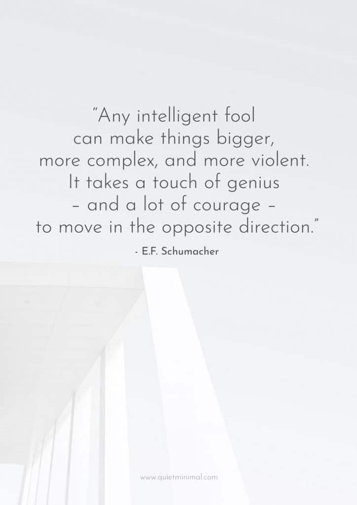 “Any intelligent fool can make things bigger, more complex, and more violent. It takes a touch of genius – and a lot of courage – to move in the opposite direction.” – E.F. Schumacher