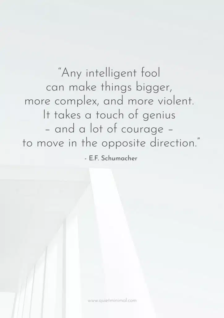 “Any intelligent fool can make things bigger, more complex, and more violent. It takes a touch of genius – and a lot of courage – to move in the opposite direction.” – E.F. Schumacher