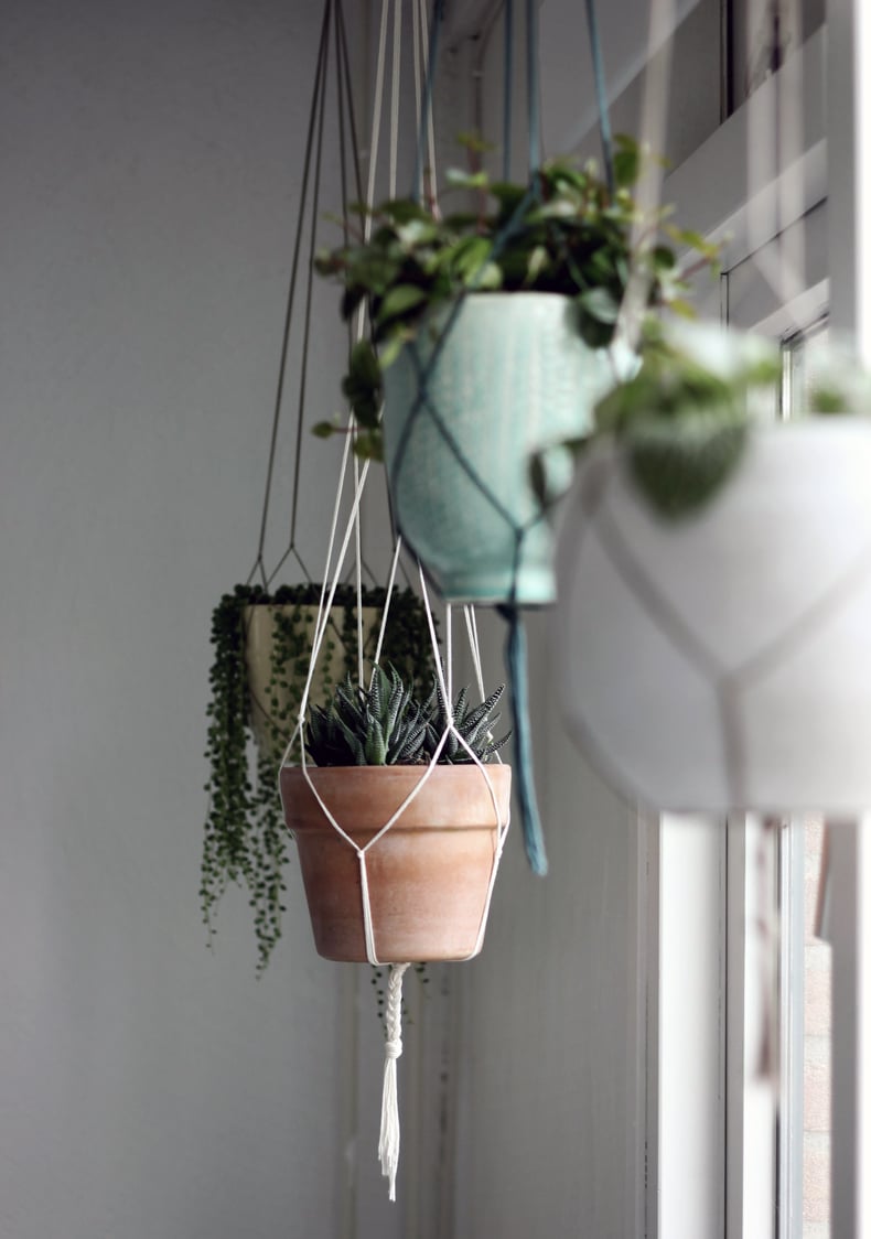 Hang Plants from Your Curtain Rod