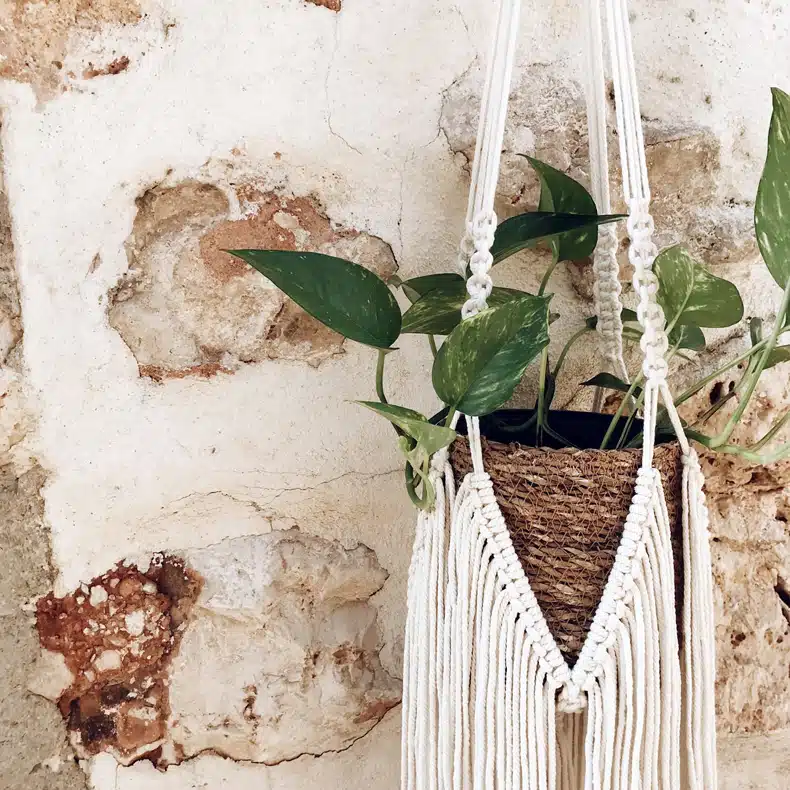 Create Macrame hangers to hang your plants from the ceiling without drilling