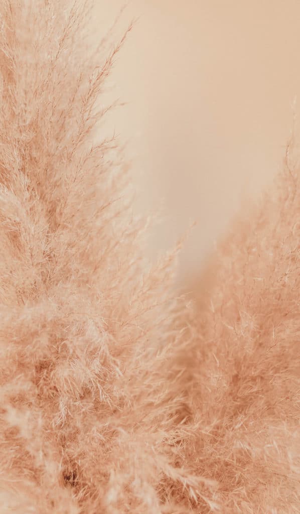 minimalist boho aesthetic wallpaper