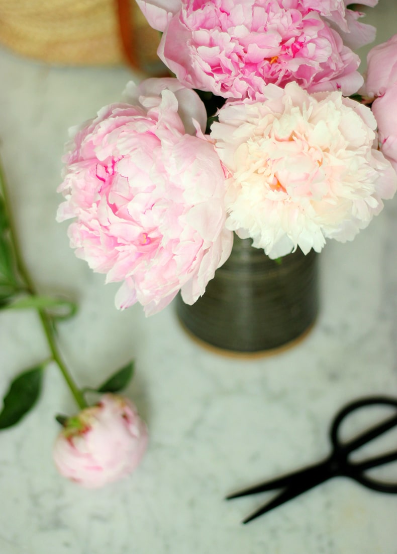 how to take care of peonies in a pot