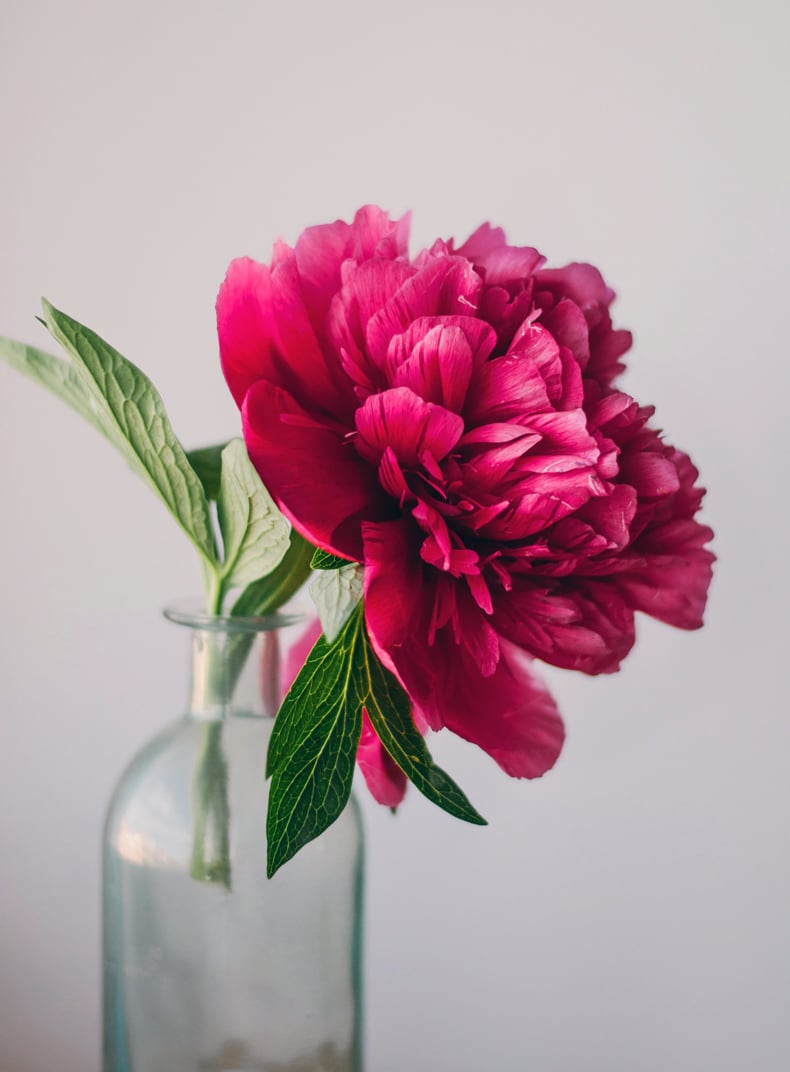 how to take care of peonies in a vase