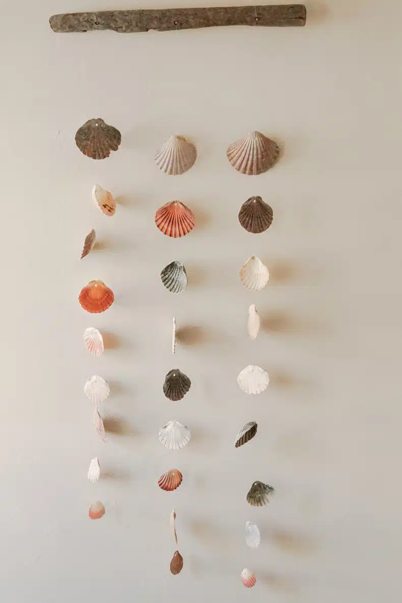 boho beachy room accessories, sea shells
