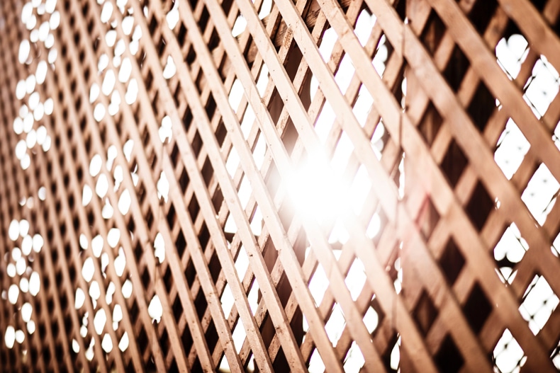 Wooden Lattice Fence