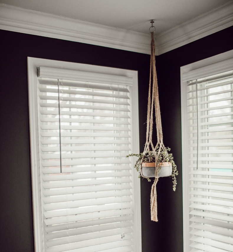 ow to hang plants from ceiling without drilling