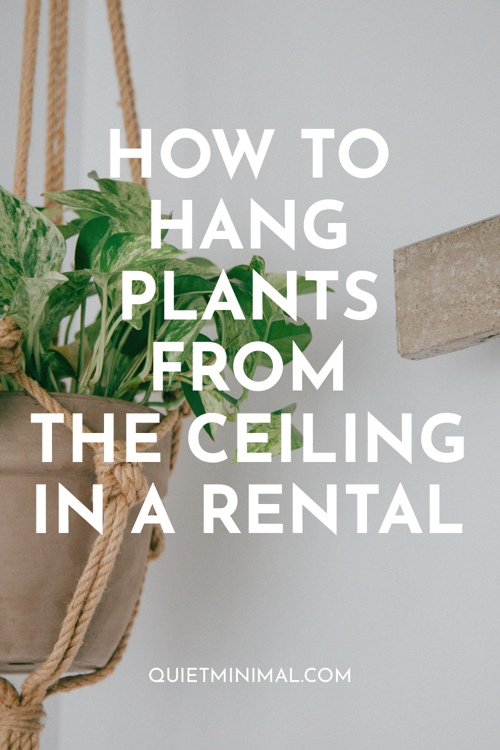 how to hang plants from the ceiling in rental appartement