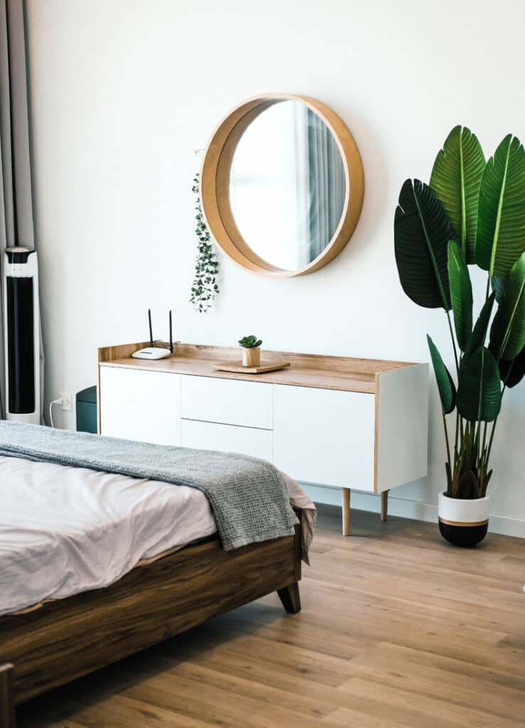 minimalist plant for a japandi bedroom style
