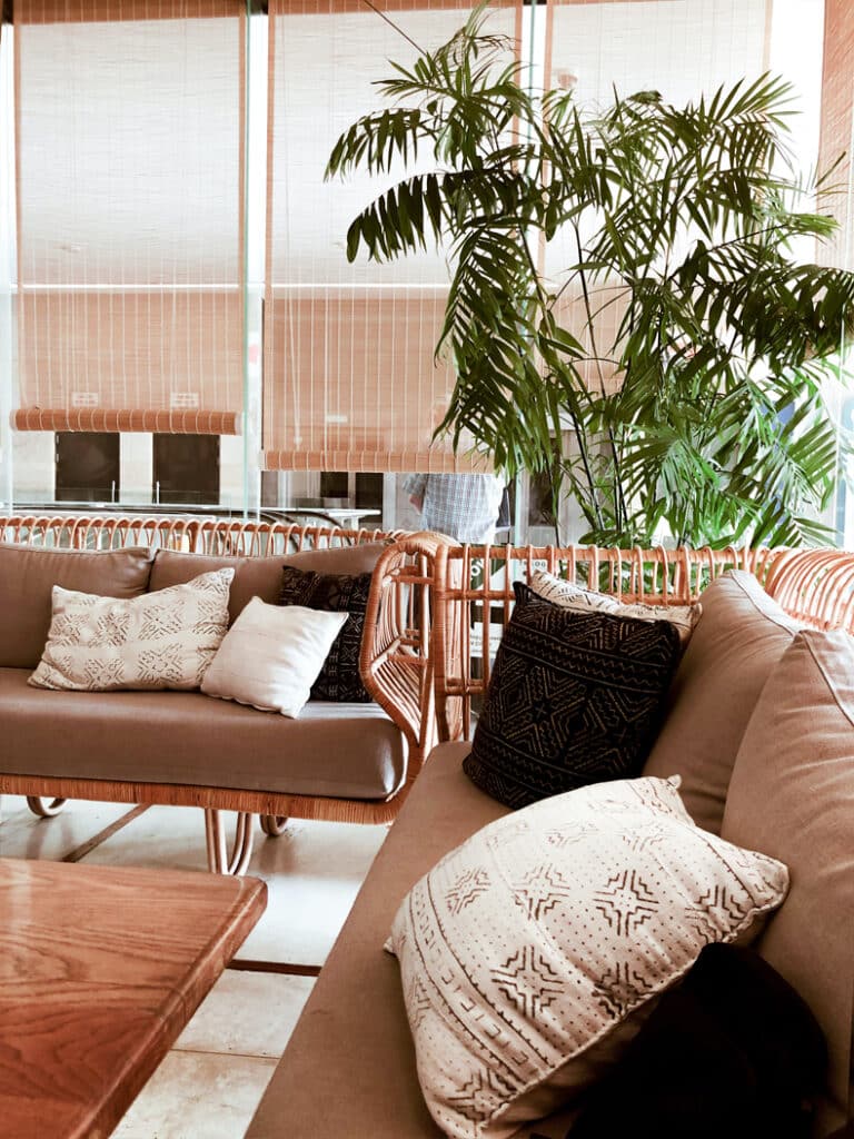 boho lounge room plants