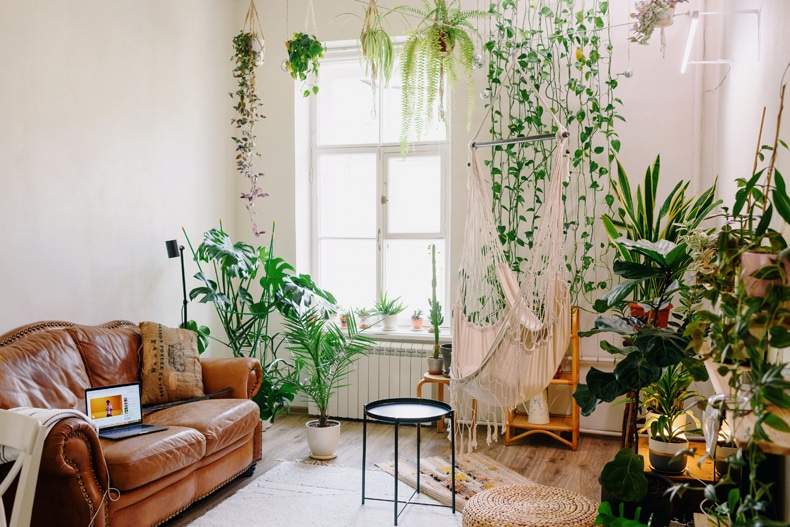 mid-century boho