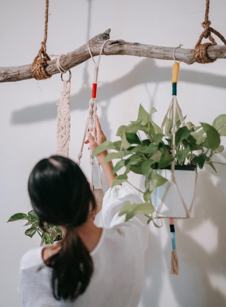 macrame haning plant