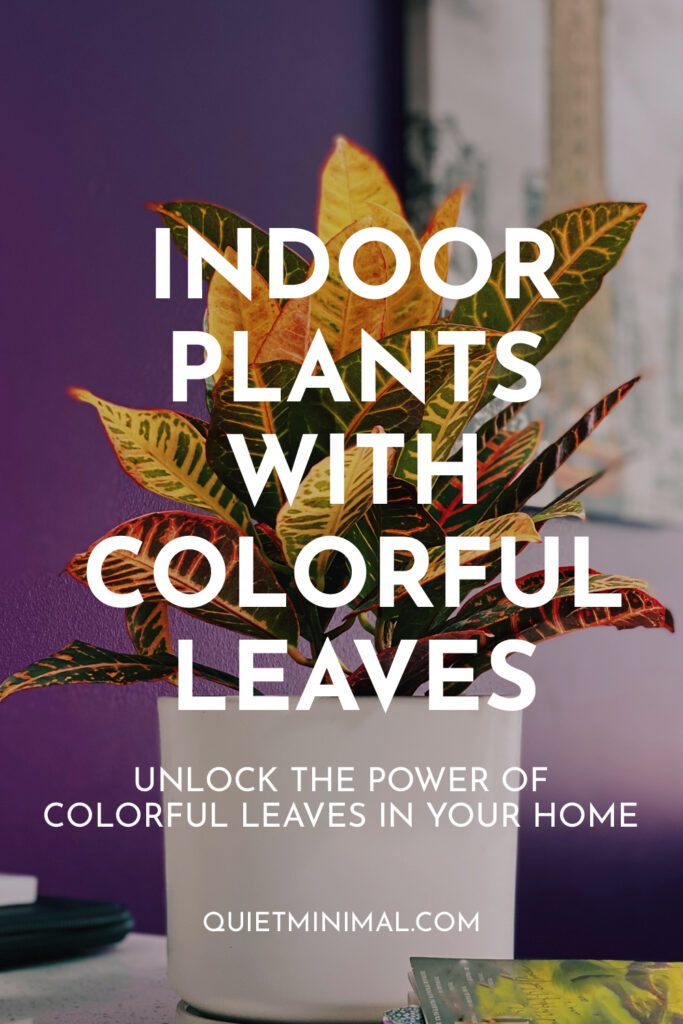 Adding Color to Your Home with Vibrant Indoor Plants