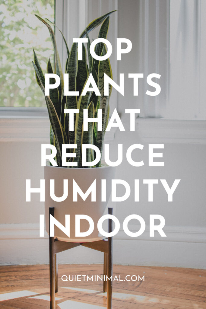 plants that reduce humidity
