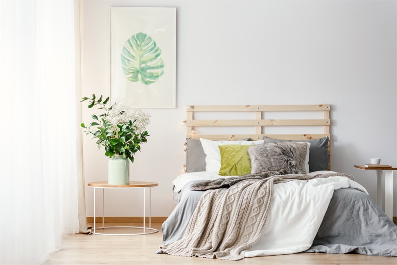 plants in a small bedroom