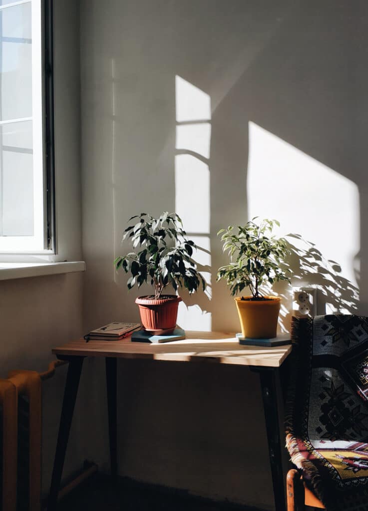 Incorporate the fire feng shui element