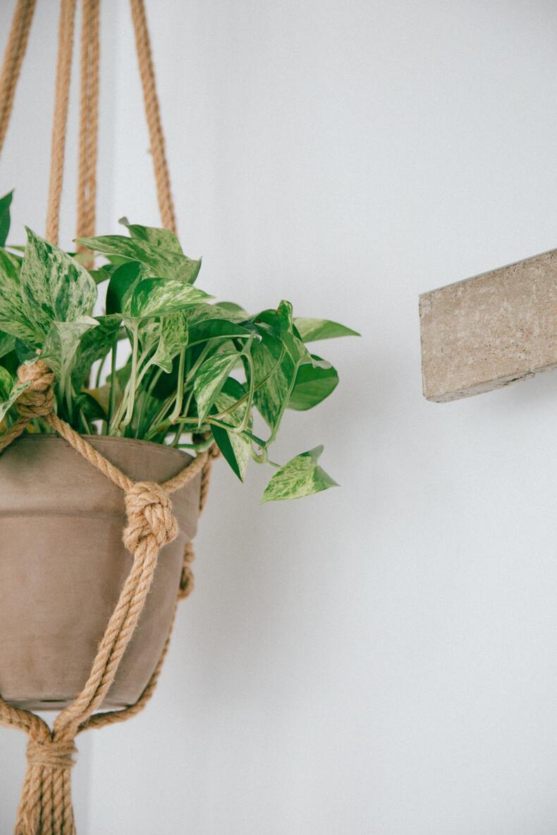 How To Decorate The Space Above Your Kitchen Cabinets 14 