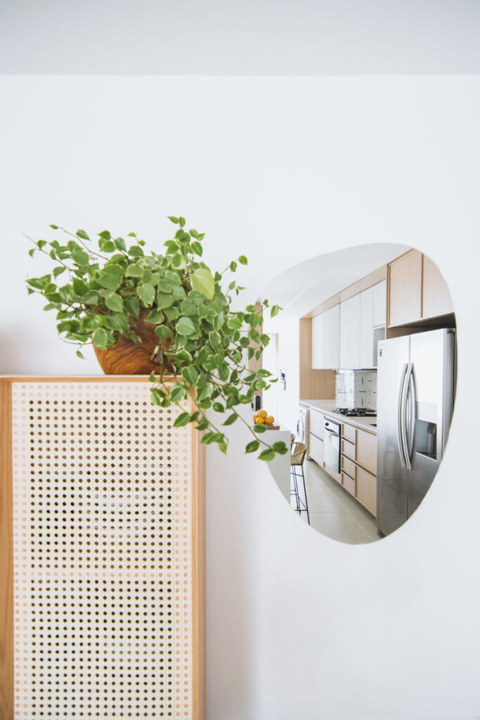 A kitchen with a plant in a pot on the wall.