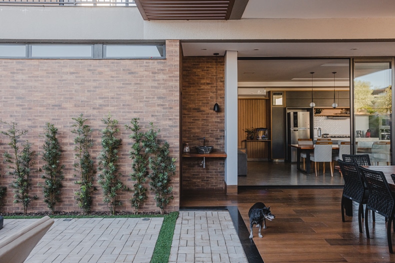 A dog is walking in the yard of a house.