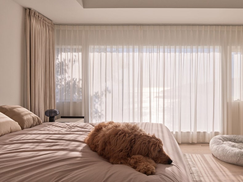 An elegant dog resting on a bedroom bed.