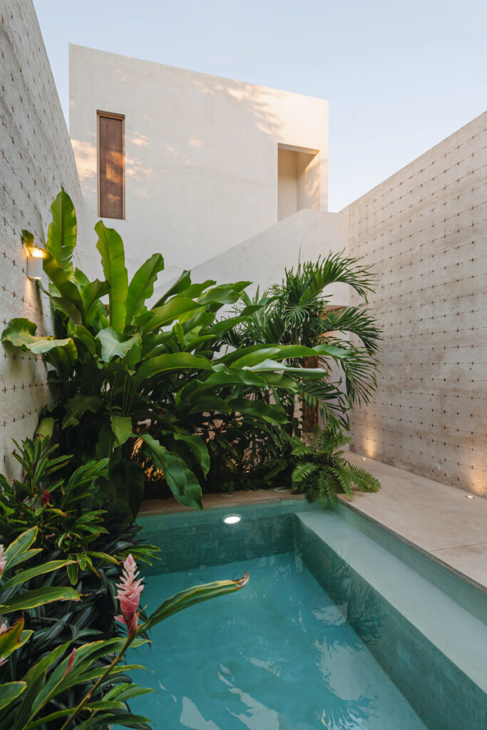 A swimming pool in a courtyard with plants around it.
