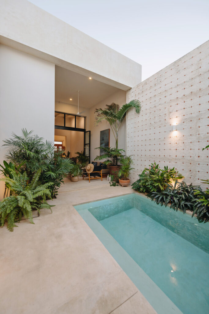 A small backyard with a pool and plants.