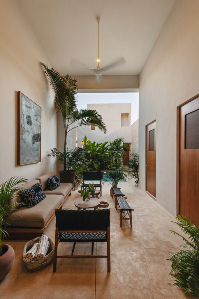 A living room in a house with plants and a ceiling fan.