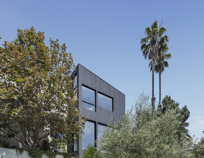 A modern house with a tree in front of it.