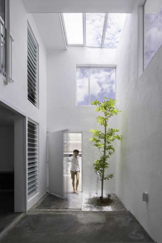 Embark on a voyage of discovery in Insight House, a white house with a tree in the hallway.