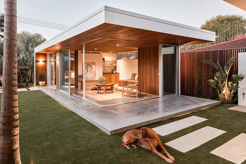 A dog is laying on the grass in front of a modern house.