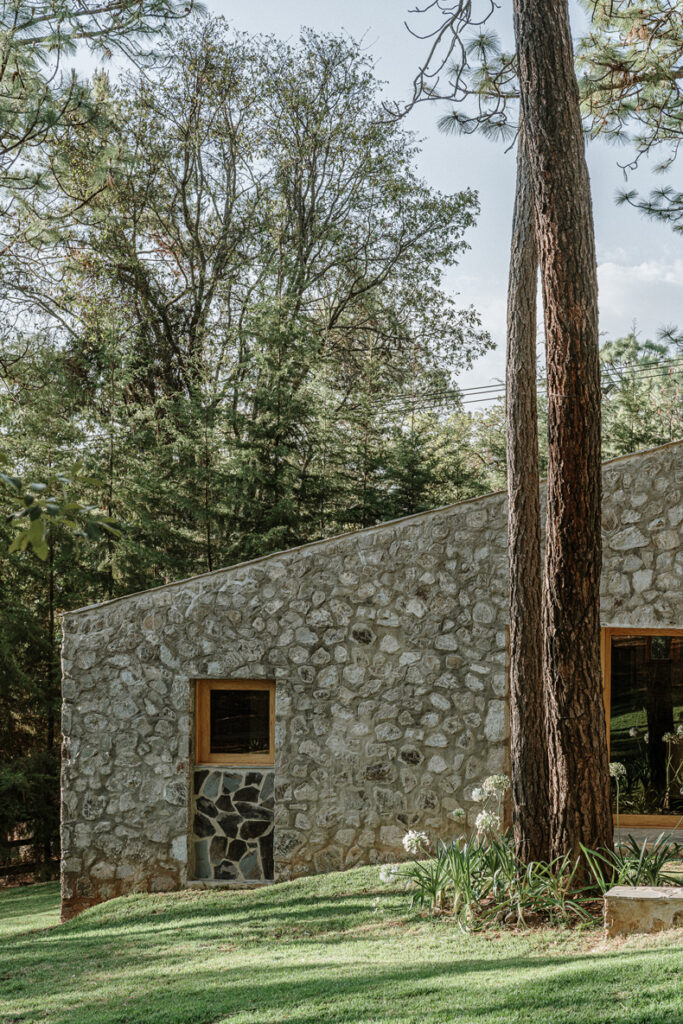 A forest retreat, Petraia House, nestled in a serene wooded area.