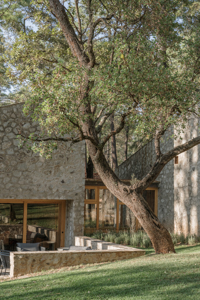 Argdl's stone house, Petraia, sits amidst a lush landscape of trees and grass.