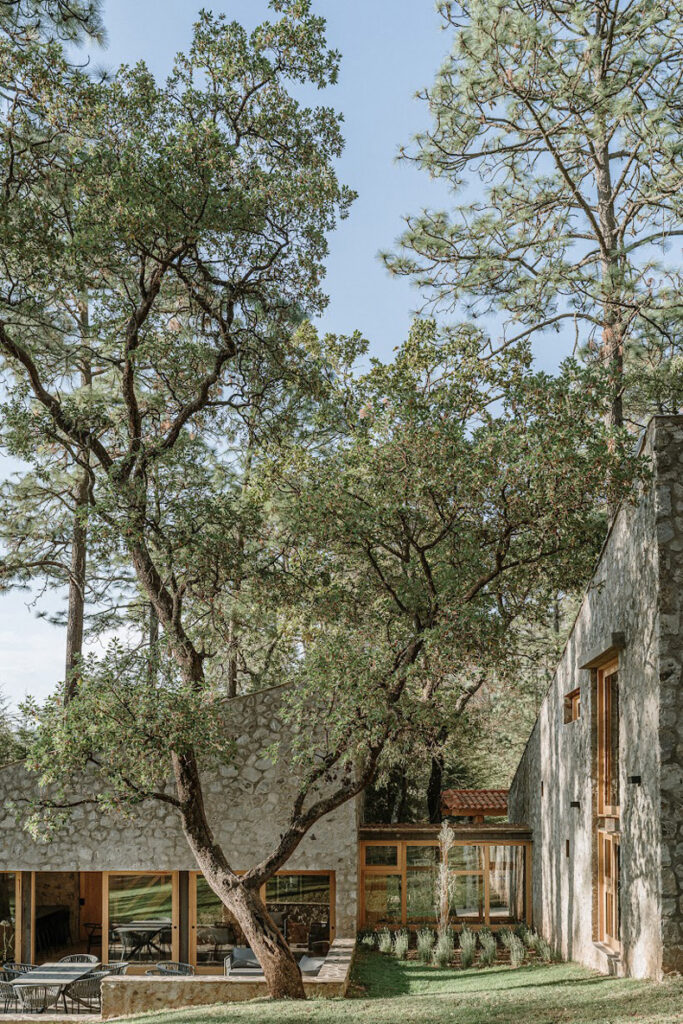 A stone house surrounded by trees in Petraia.