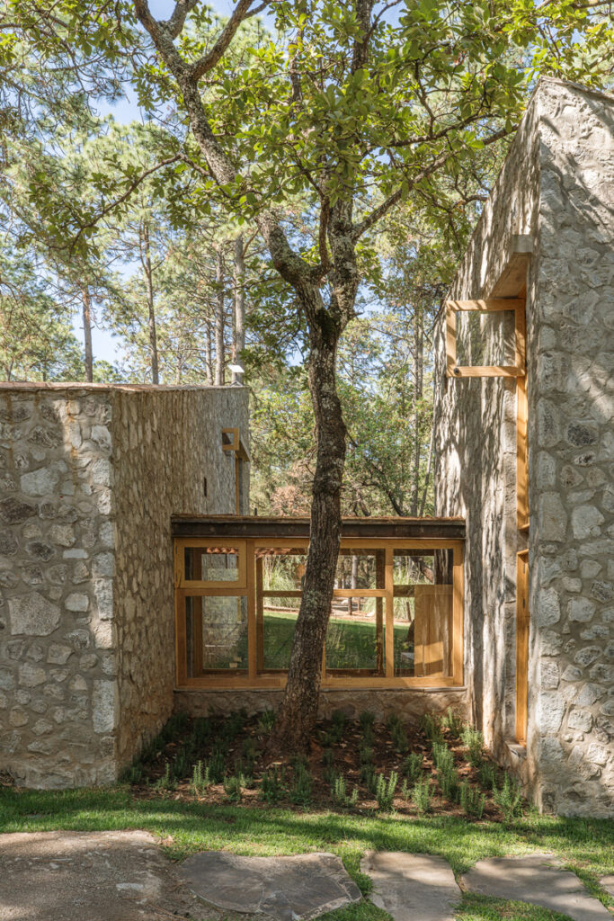 Petraia House, an Argdl creation, showcasing a stone house with a central tree.