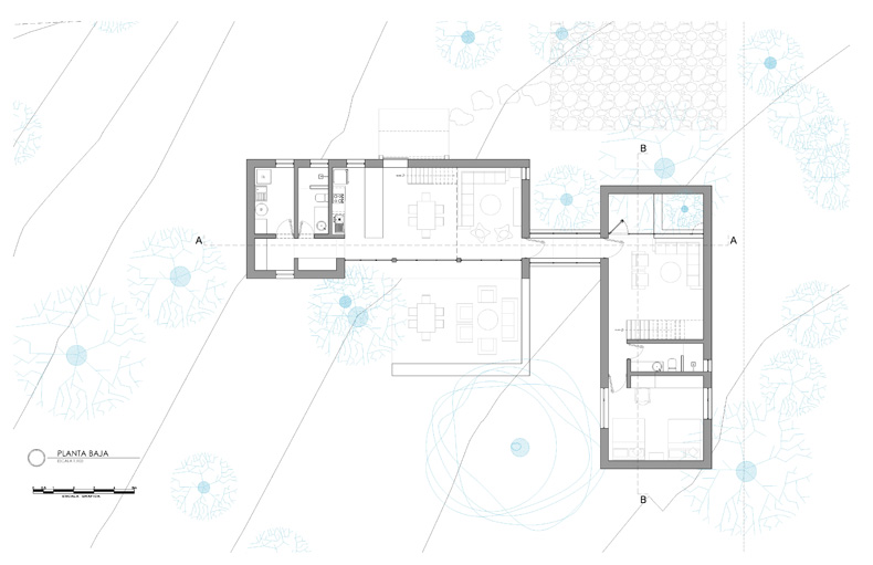A floor plan of the Petraia House with a blue floor.