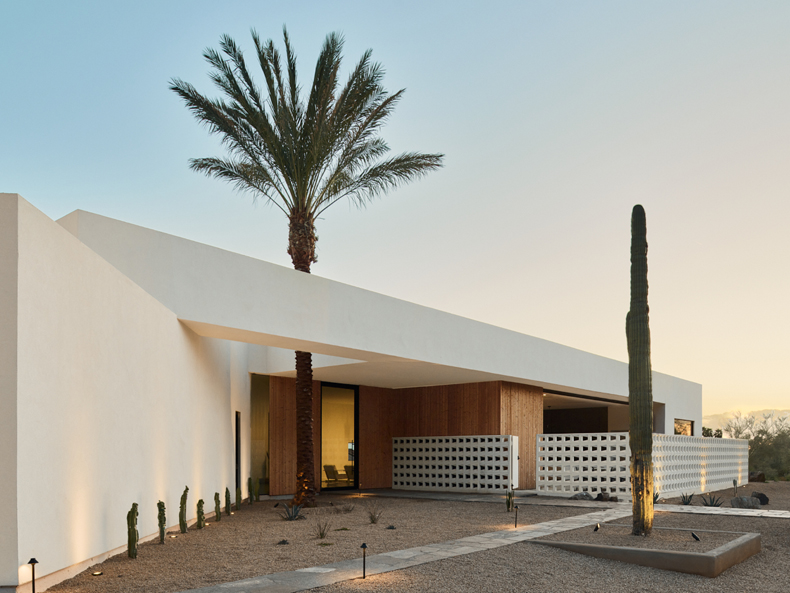 A modern house with a cactus in the front yard.