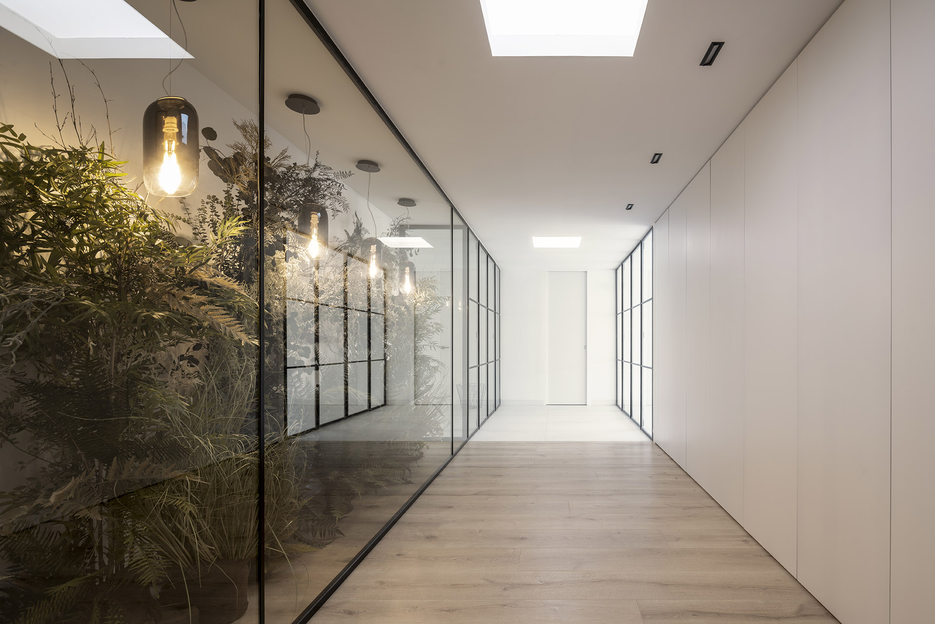 A glass-walled hallway with plants in Citric House by Susanna Cots Interior Design.