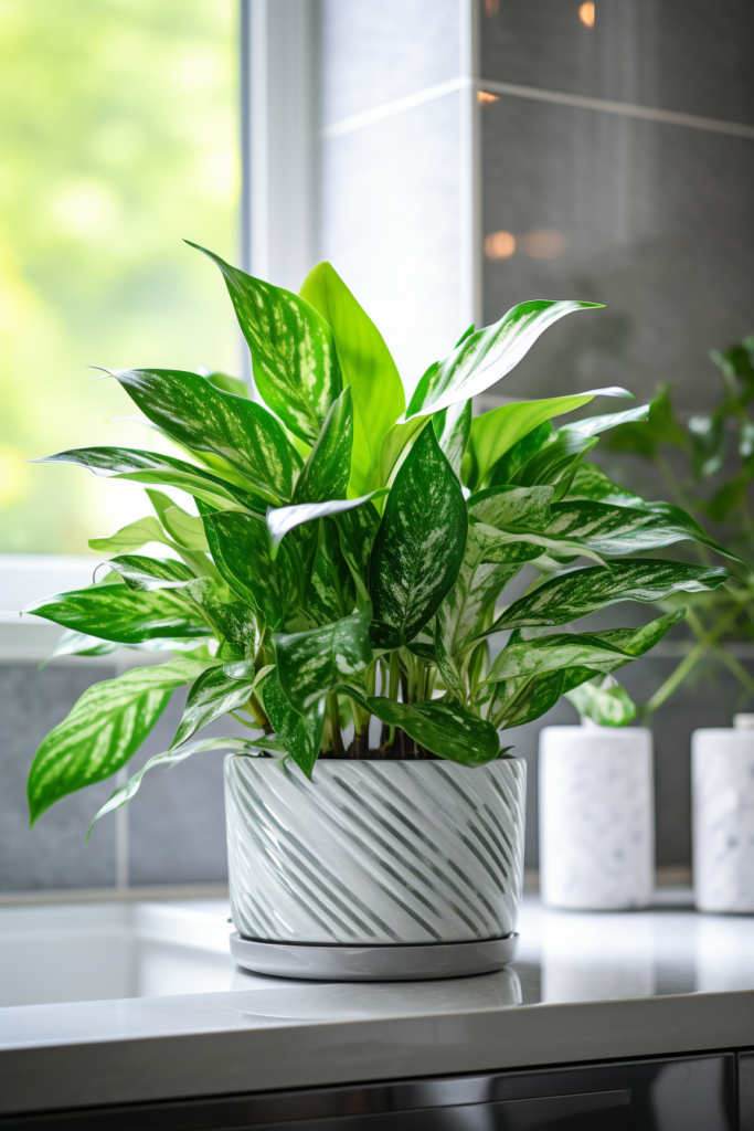 An air-purifying plant sits on a kitchen counter, improving bathroom air quality.