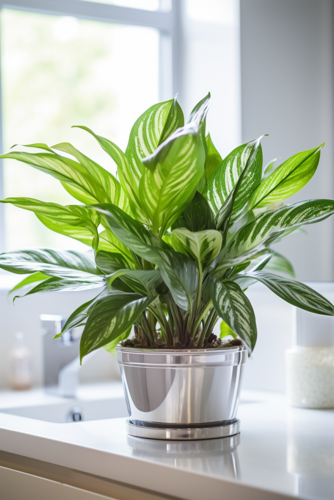 An air-purifying potted plant sits on a counter top, enhancing bathroom air quality.