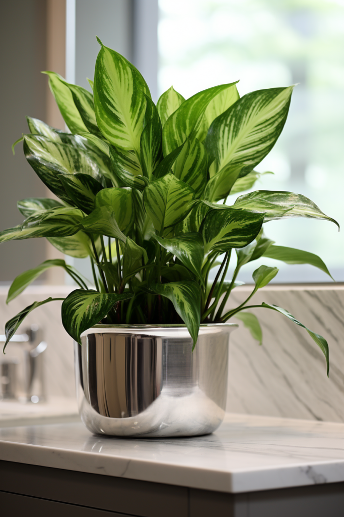 An air-purifying plant in a silver bowl sits on top of a counter, improving bathroom air quality.