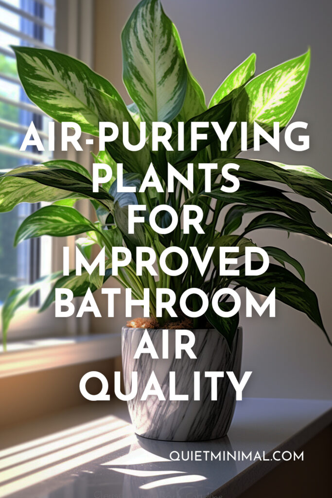 Air-purifying plants for improved bathroom air quality.