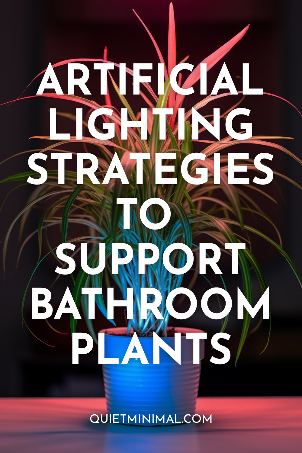 Artificial lighting for bathroom plants.