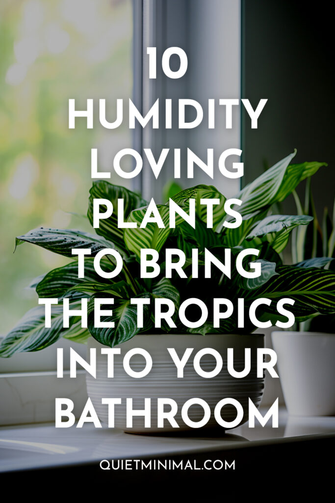 Transform your bathroom into a tropical oasis with these 10 humidity-loving plants.