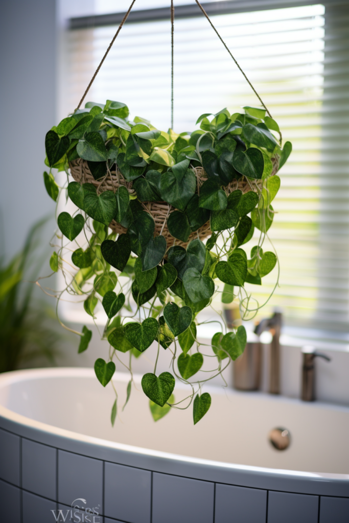 Plants hanging from the ceiling in a bathroom.