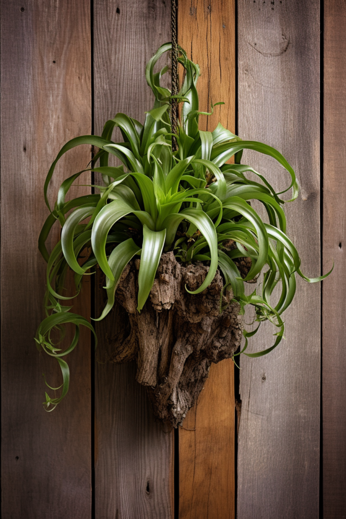 A ceiling hanging plant on a wooden wall.