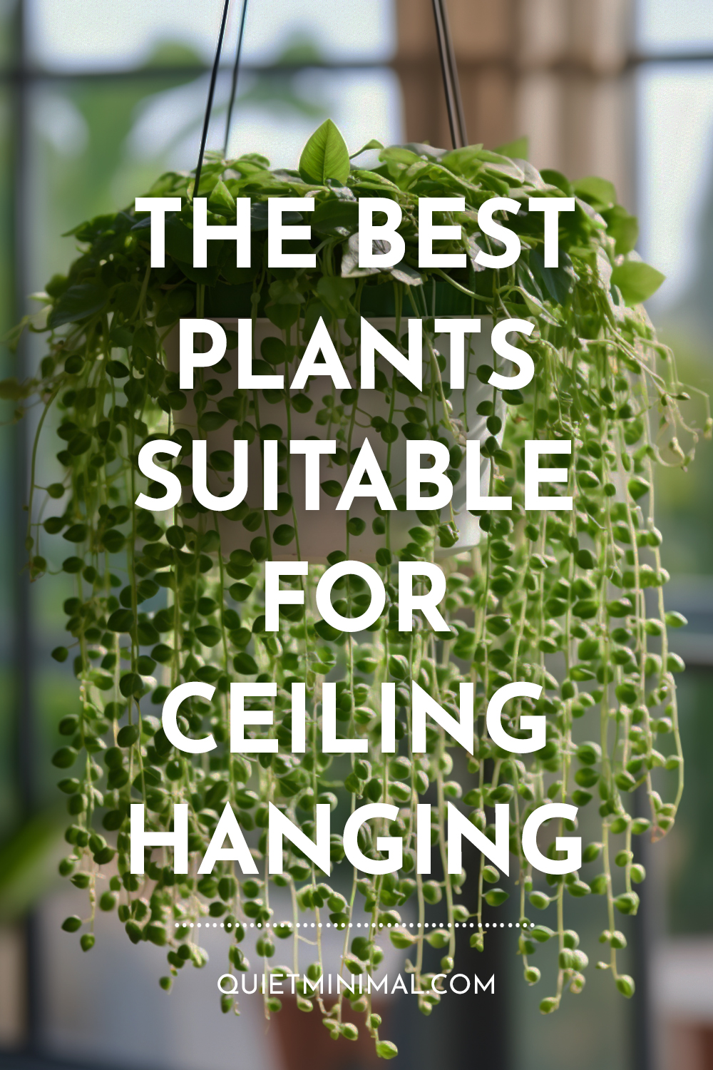 Choosing the right plants for ceiling hanging can make all the difference in achieving a stunning and lush display.