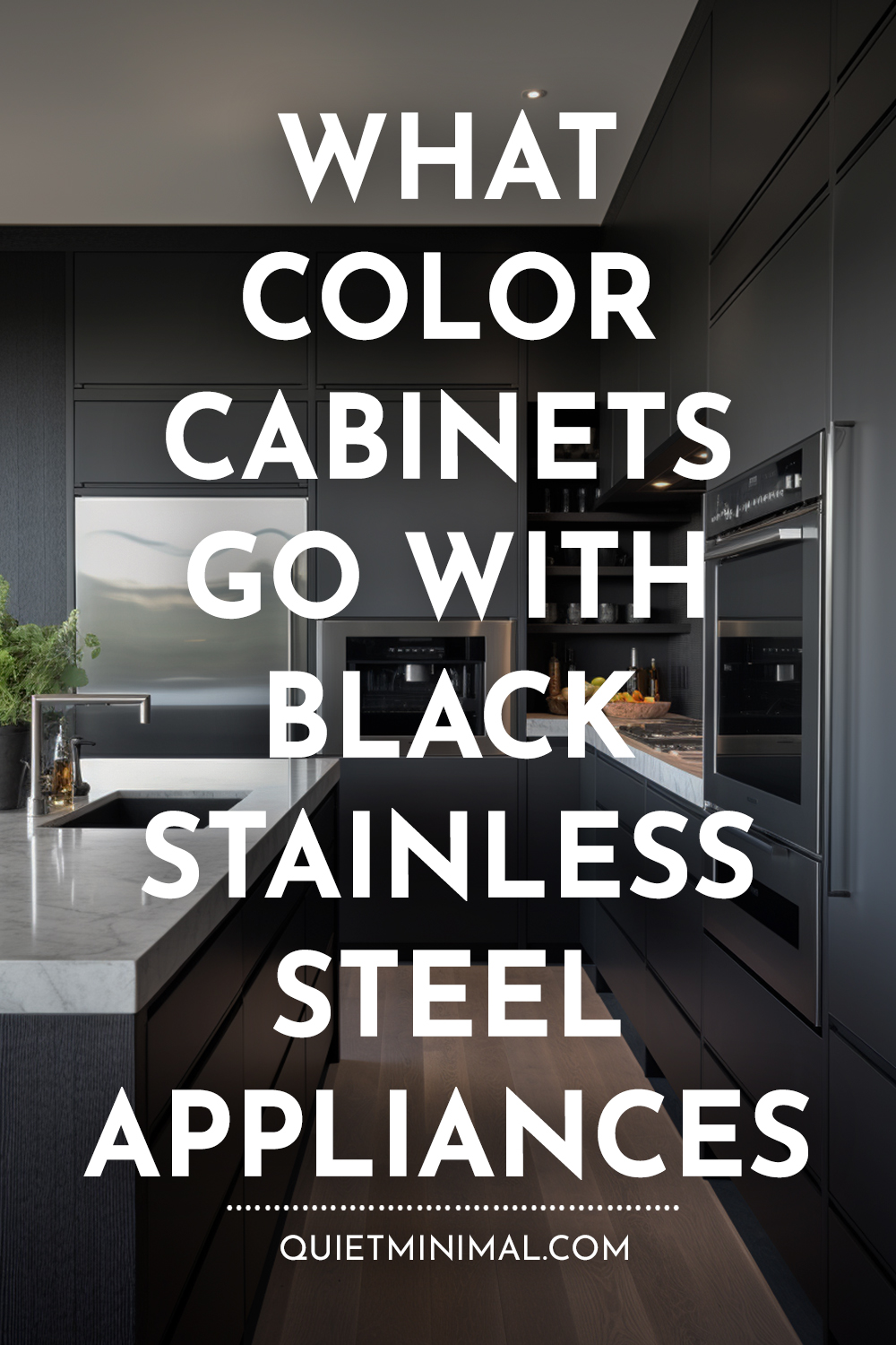 What color cabinets go with black stainless steel appliances?
