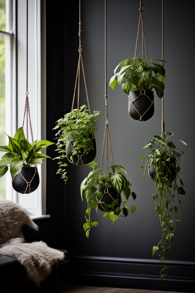 Enhancing interior design with hanging planters.