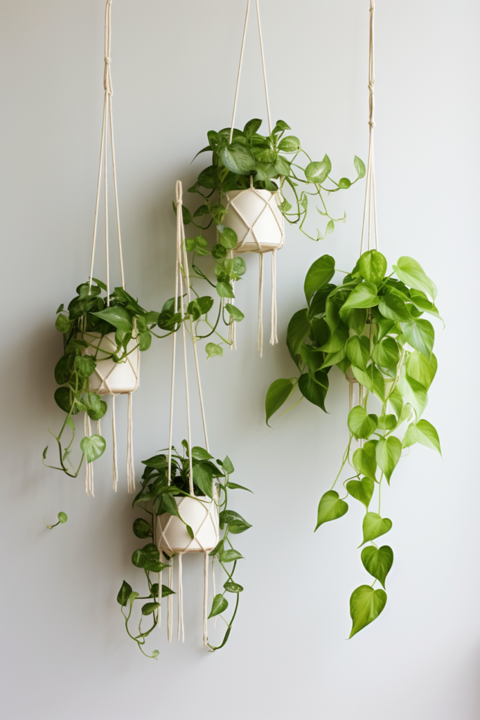 Enhancing the interior design with four beautiful hanging ceiling plants.